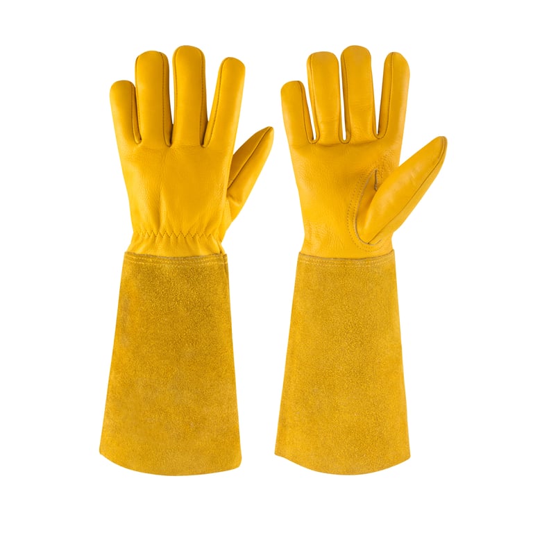 Gold Leather Rose Gauntlets