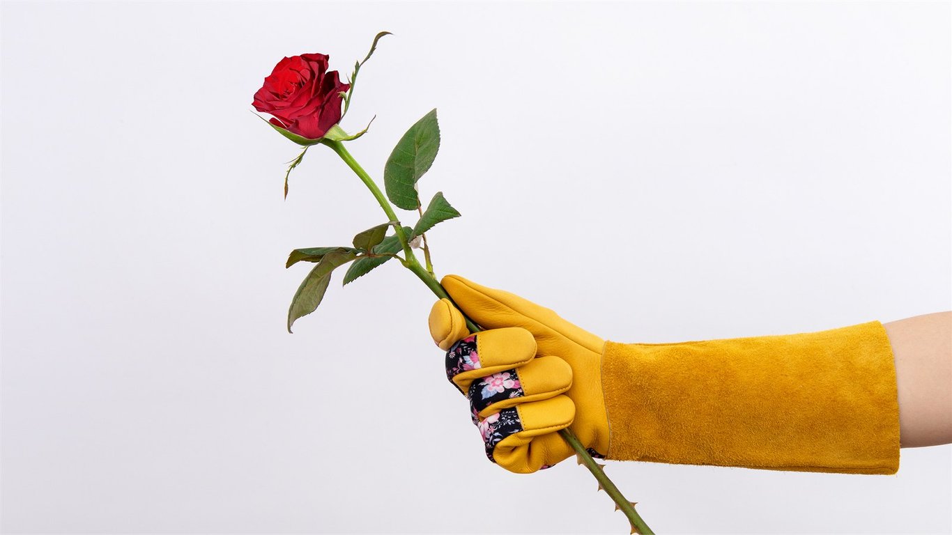 Seasonal Spotlight: Thorn Guard Rose Gauntlets preview